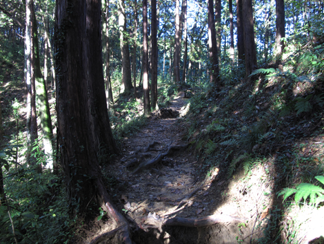20151127hike (29)